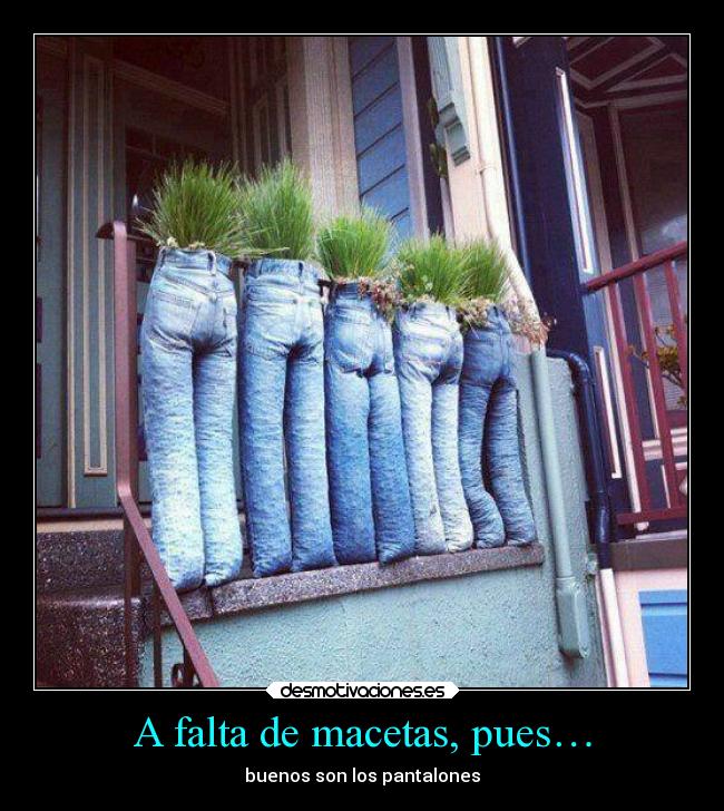 carteles humor maceta pantalon desmotivaciones