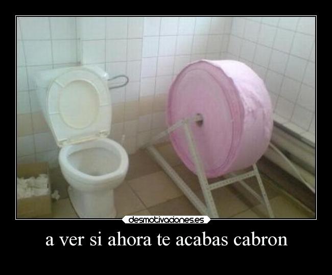 carteles humor papeles bano desmotivaciones