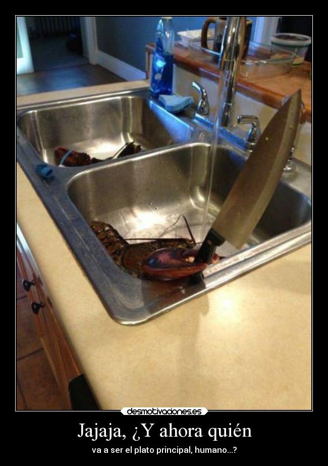 Jajaja, ¿Y ahora quién - va a ser el plato principal, humano...?