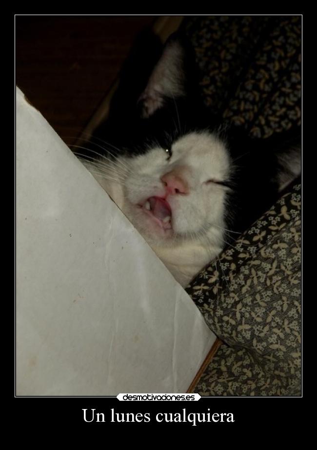 Un lunes cualquiera -