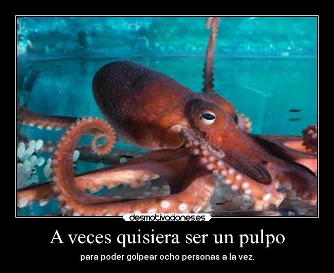 A veces quisiera ser un pulpo -