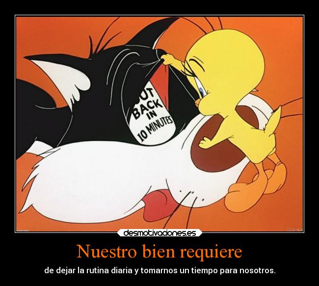 carteles humor silvestre piolin tweety looney tunes dejar rutina diaria tomarnos tiempo ejercitodemar desmotivaciones