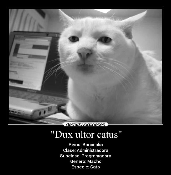 carteles humor slipkdemon clandesplazado walt gato administrador nomenclaturabinomial nombre cientifico desmotivaciones
