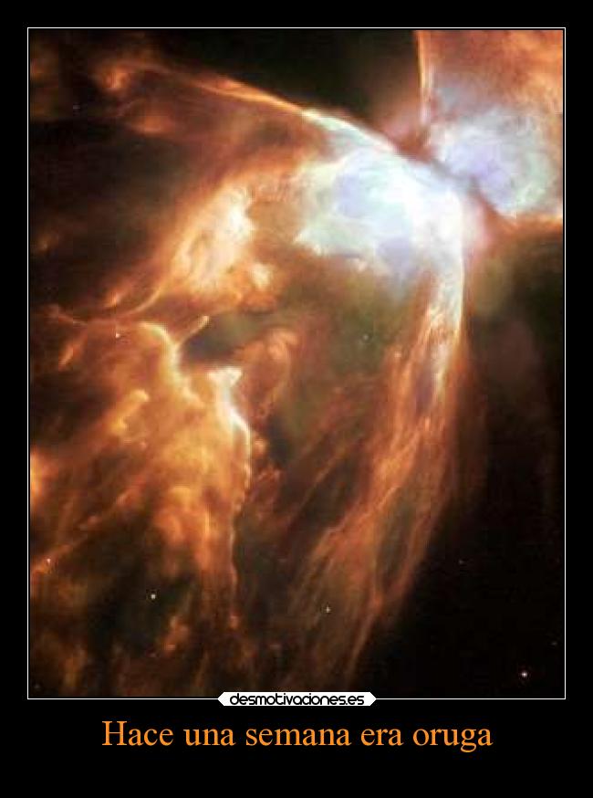 carteles humor slipkdemon clandesplazado espacio universo nebulosa mariposa desmotivaciones