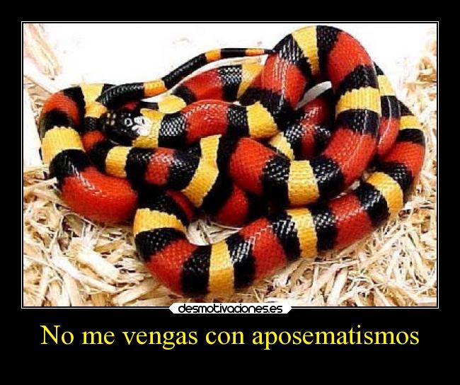 carteles humor slipkdemon clandesplazado aposematismo serpiente falsa coral desmotivaciones