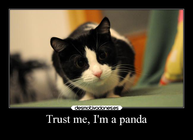 Trust me, Im a panda - 