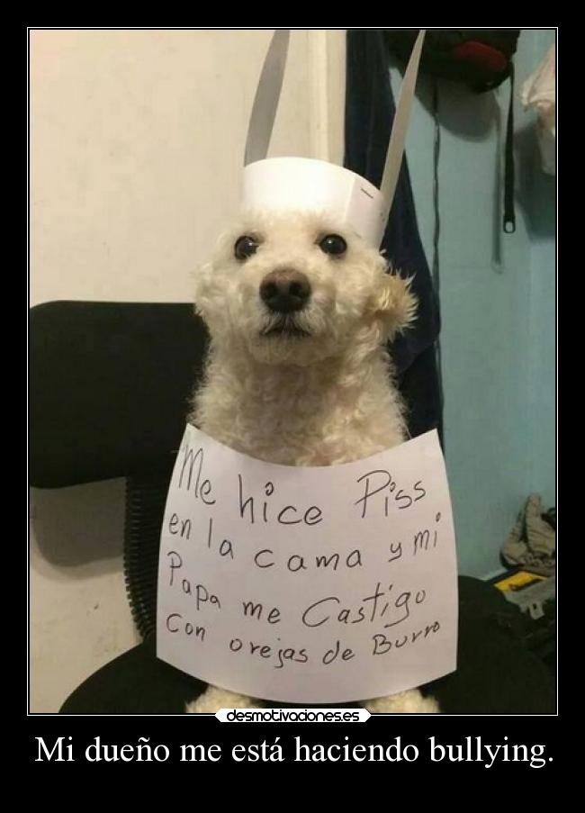 Mi dueño me está haciendo bullying. -
