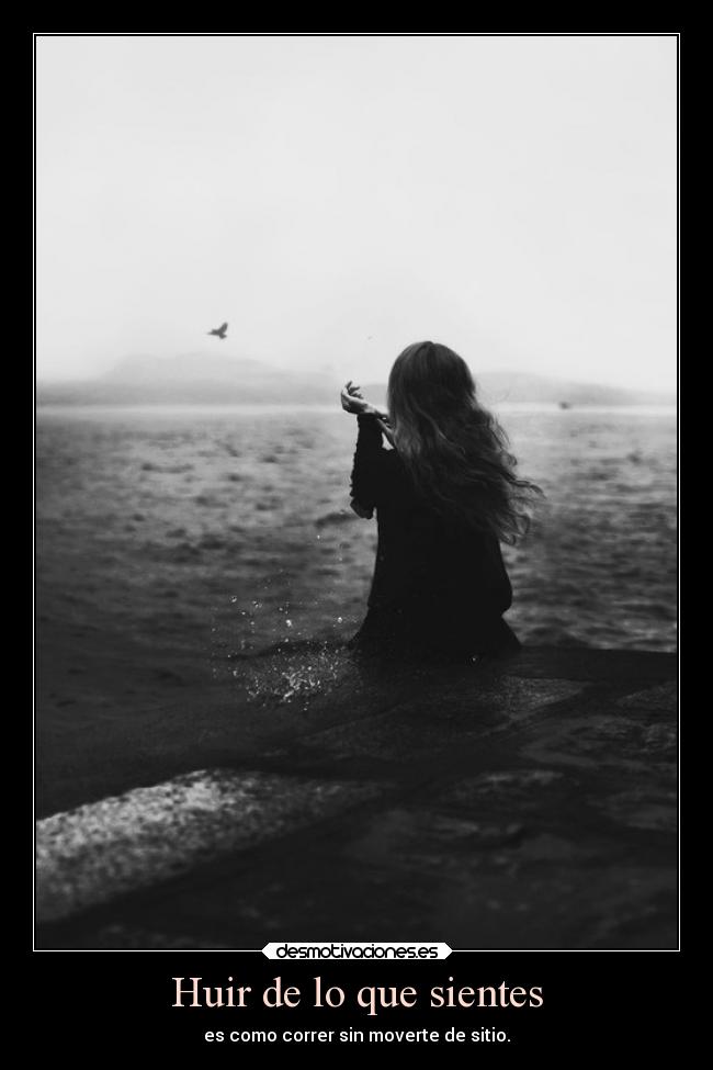 carteles ignorancia distancia desmotivaciones noquierodemostrarnada tururuu desmotivaciones