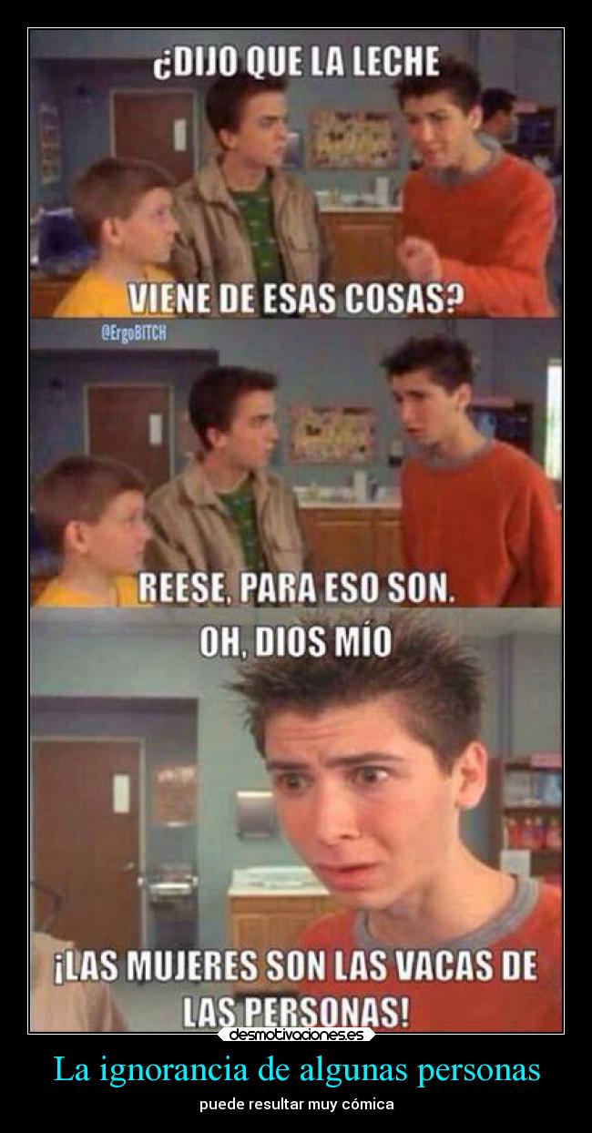 carteles ignorancia ignorancia humor desmotivaciones