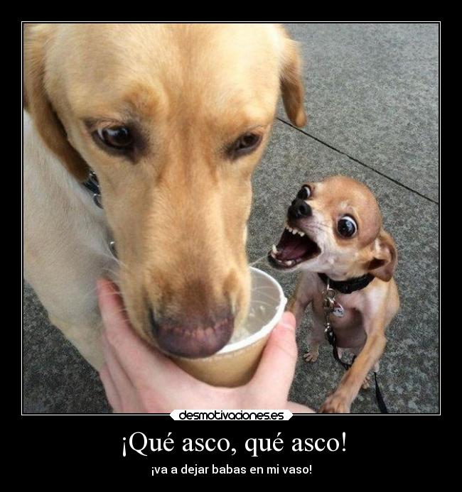 ¡Qué asco, qué asco! - ¡va a dejar babas en mi vaso!