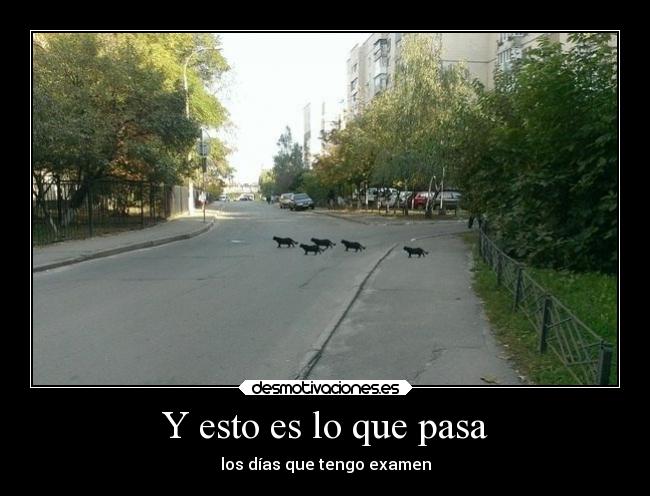 Y esto es lo que pasa - los días que tengo examen