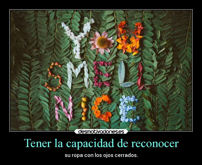 carteles locura ofato ropa smellslikelovespirit flores olores ojos cerrados desmotivaciones