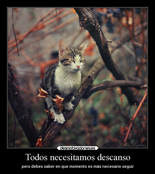 Todos necesitamos descanso - pero debes saber en que momento es más necesario seguir