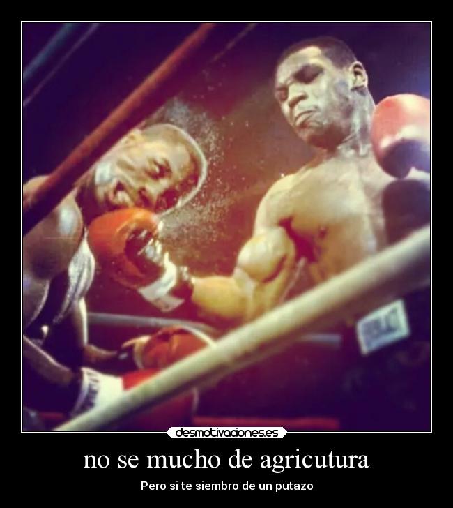 carteles motivaciones mike tyson box boxeo putazos desmotivaciones