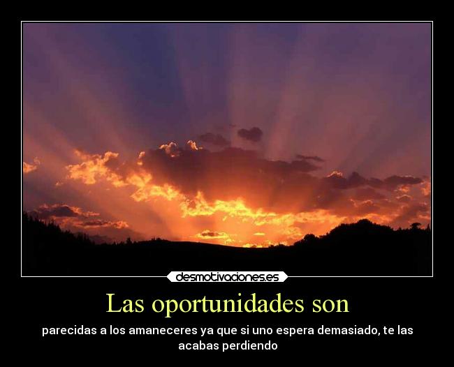 Las oportunidades son - parecidas a los amaneceres ya que si uno espera demasiado, te las
acabas perdiendo