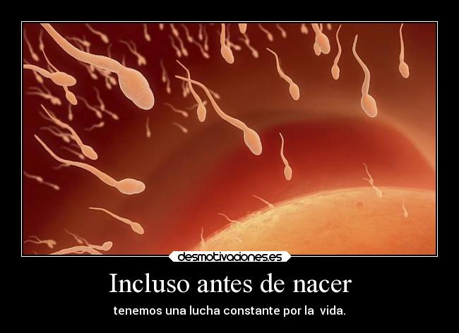 carteles motivaciones vida espermatozoides luchamosantesdnacer rbk desmotivaciones