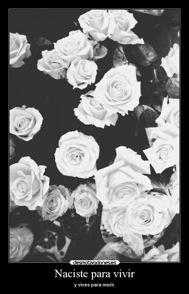 Naciste para vivir - y vives para morir.