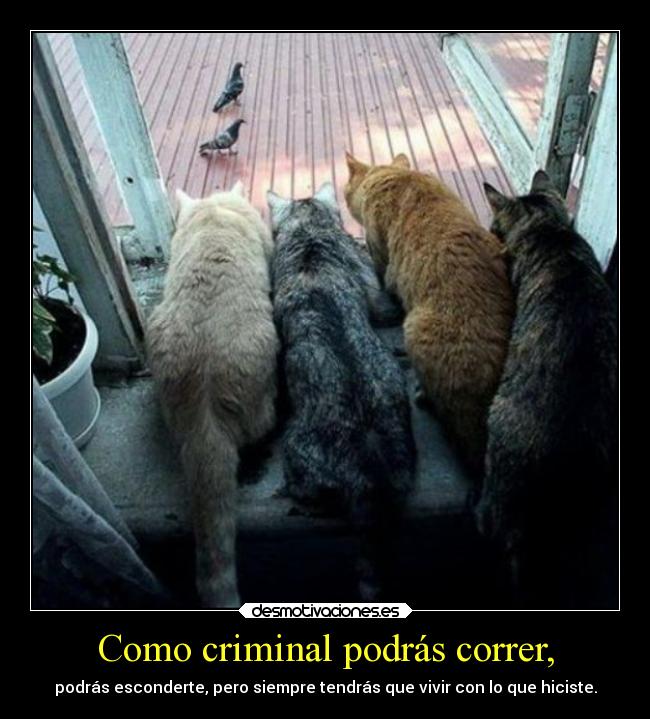 Como criminal podrás correr, - 