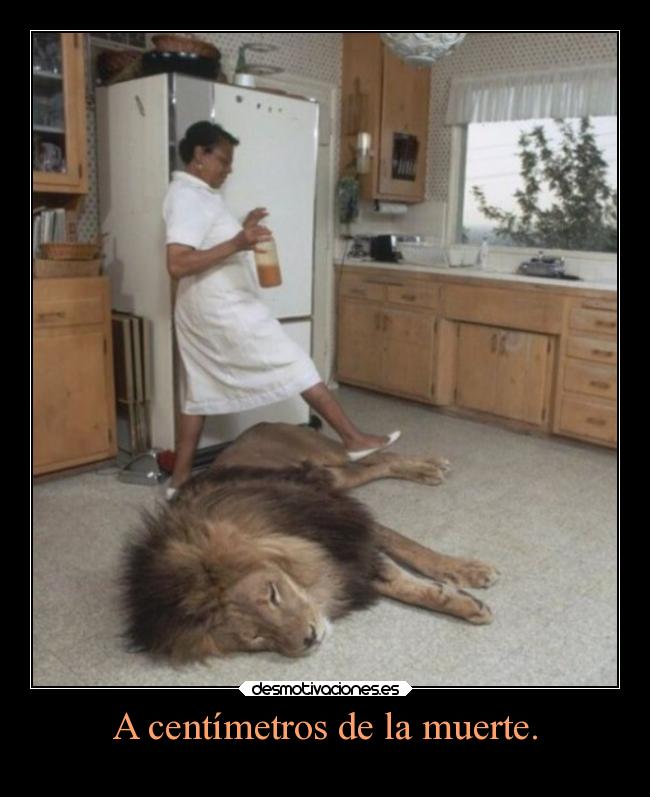 A centímetros de la muerte. -