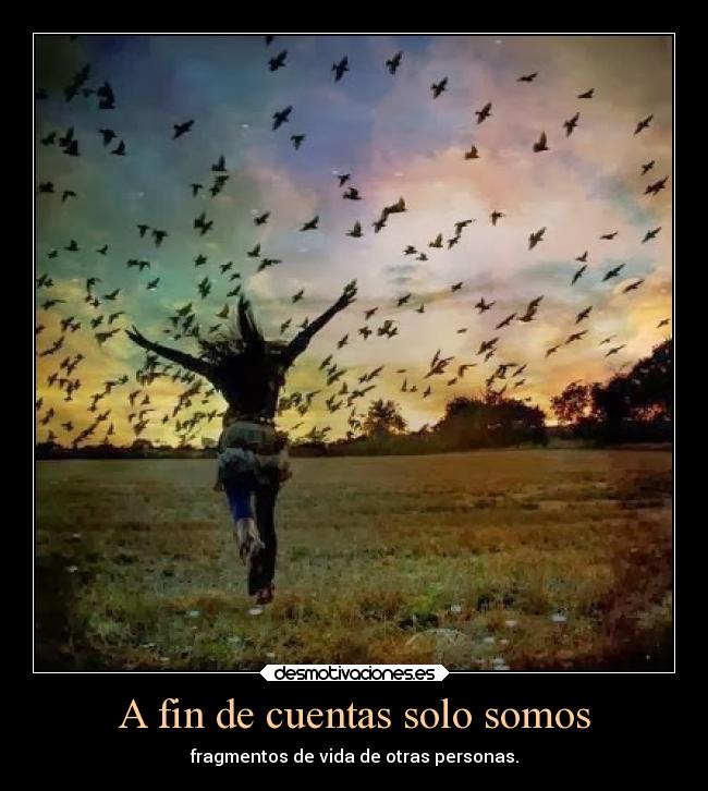 A fin de cuentas solo somos - 