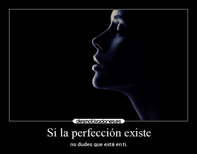 Si la perfección existe | Desmotivaciones