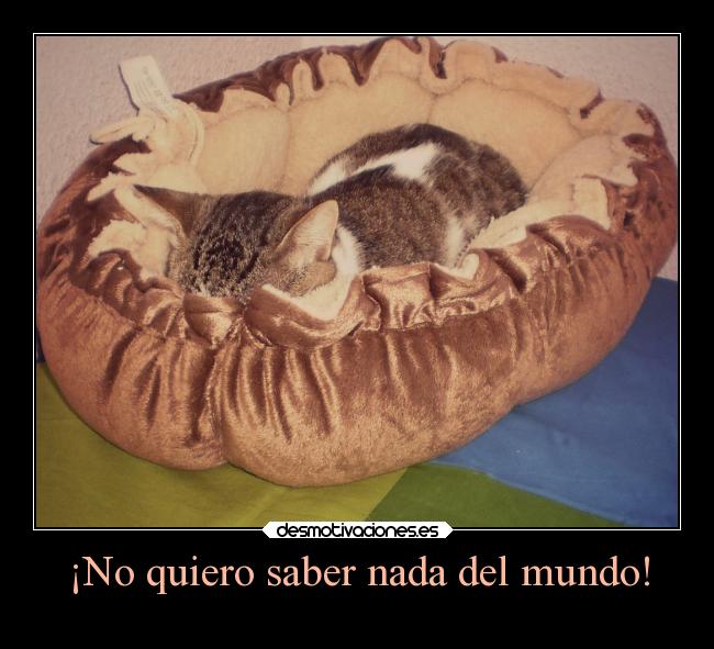 ¡No quiero saber nada del mundo! -