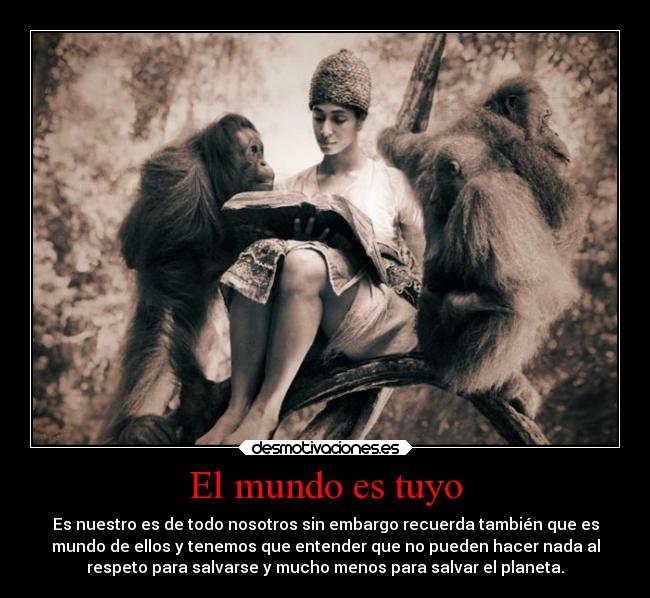 El mundo es tuyo - 