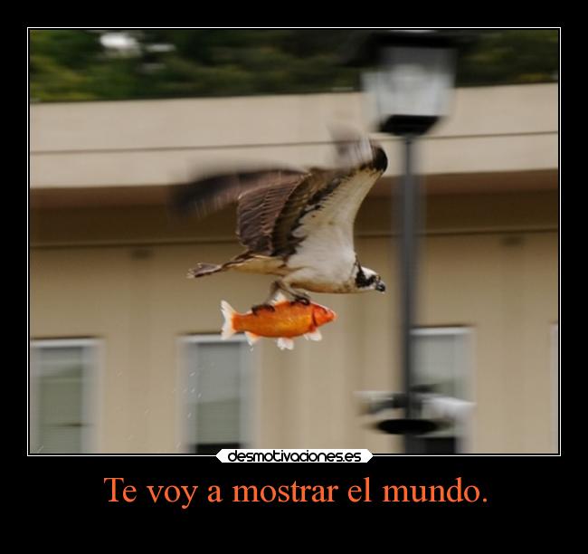Te voy a mostrar el mundo. - 