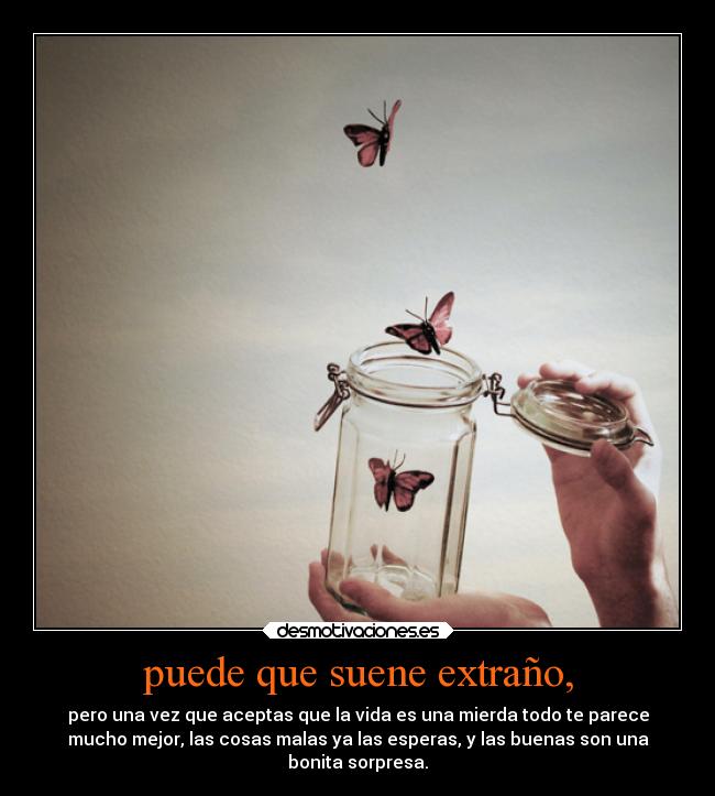 puede que suene extraño, - pero una vez que aceptas que la vida es una mierda todo te parece
mucho mejor, las cosas malas ya las esperas, y las buenas son una
bonita sorpresa.