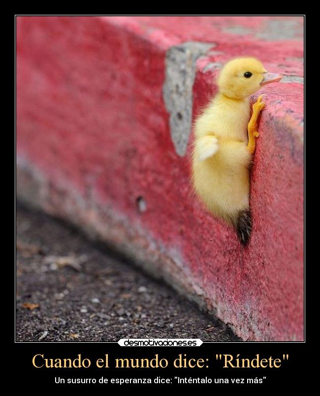 Cuando el mundo dice: Ríndete - 