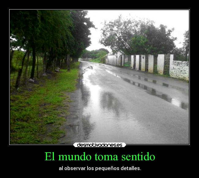 El mundo toma sentido - al observar los pequeños detalles.