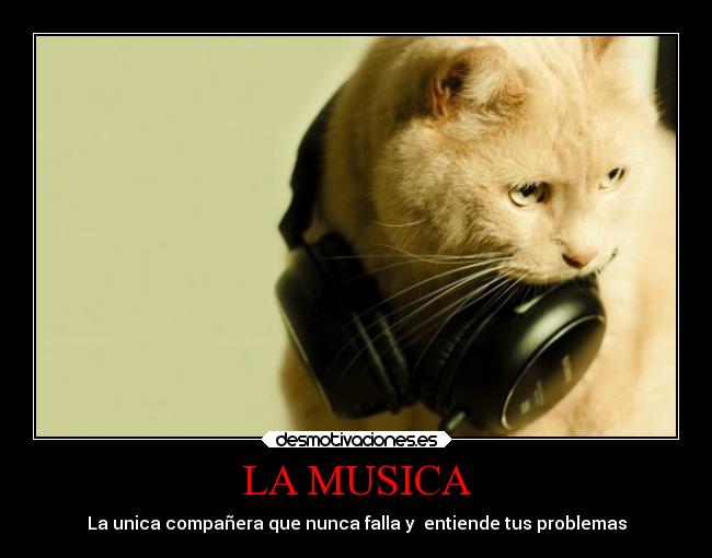 LA MUSICA - 