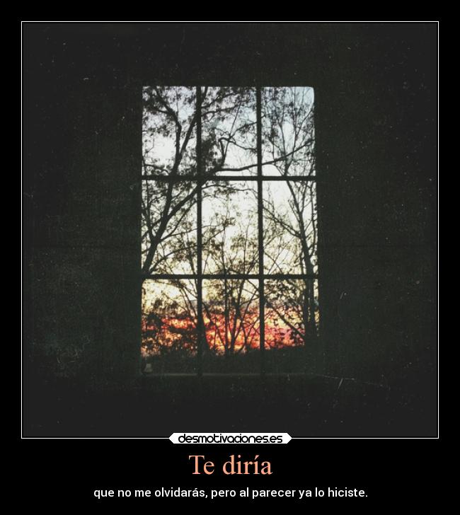 Te diría - que no me olvidarás, pero al parecer ya lo hiciste.