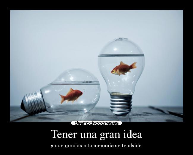 carteles olvidar vida frustracion idea memoriapez cartelabsurdo desmotivaciones