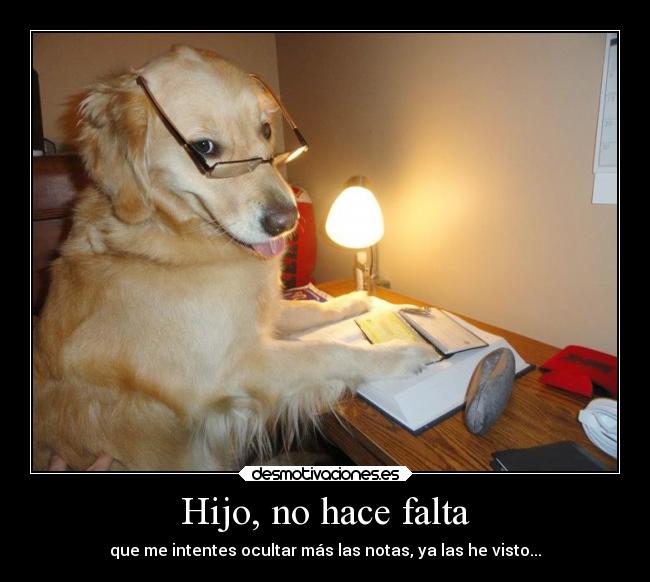 Hijo, no hace falta - que me intentes ocultar más las notas, ya las he visto...