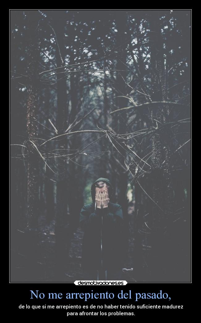 No me arrepiento del pasado, - de lo que si me arrepiento es de no haber tenido suficiente madurez
para afrontar los problemas.