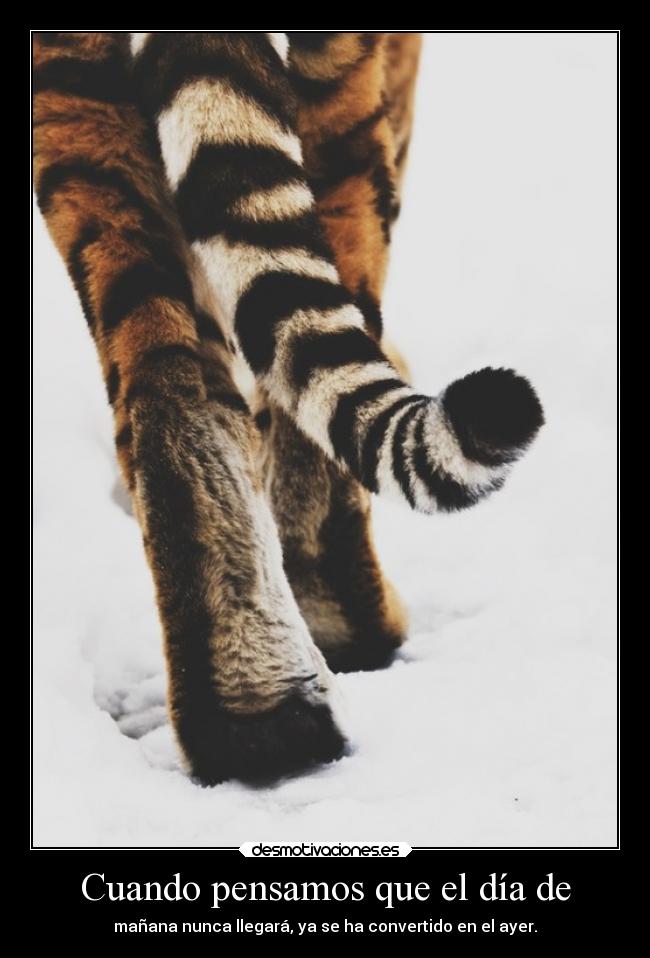 Cuando pensamos que el día de - mañana nunca llegará, ya se ha convertido en el ayer.