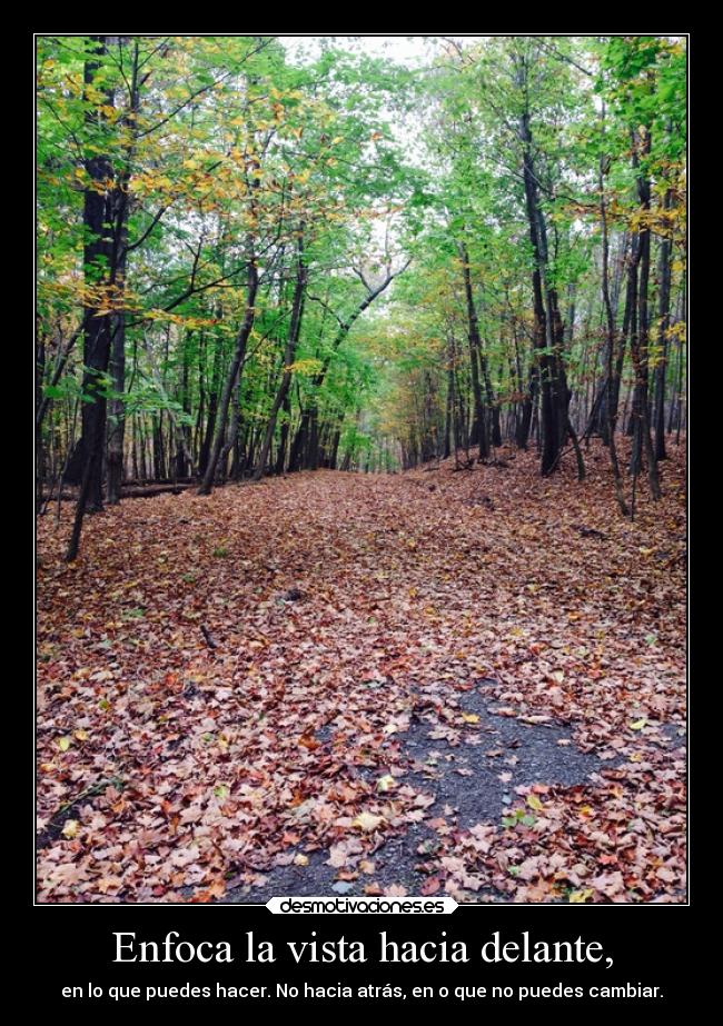Enfoca la vista hacia delante, - en lo que puedes hacer. No hacia atrás, en o que no puedes cambiar.