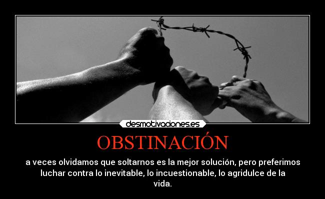 OBSTINACIÓN - a veces olvidamos que soltarnos es la mejor solución, pero preferimos
luchar contra lo inevitable, lo incuestionable, lo agridulce de la
vida.