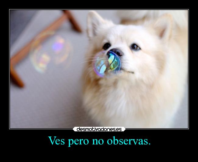 Ves pero no observas. -