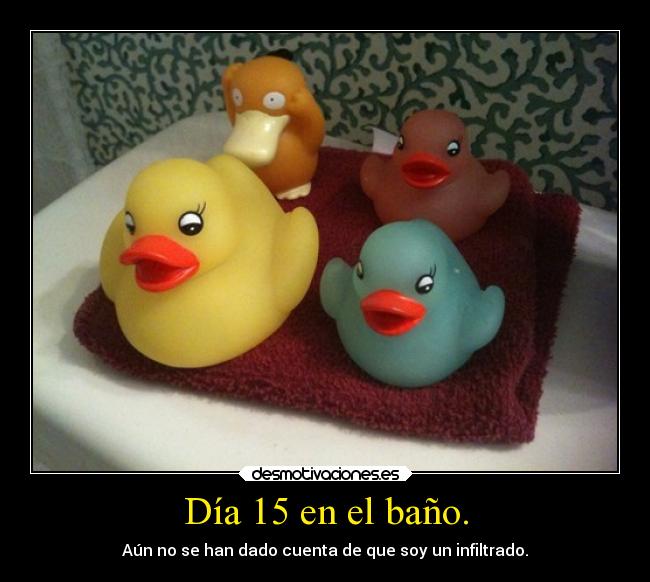 Día 15 en el baño. - 