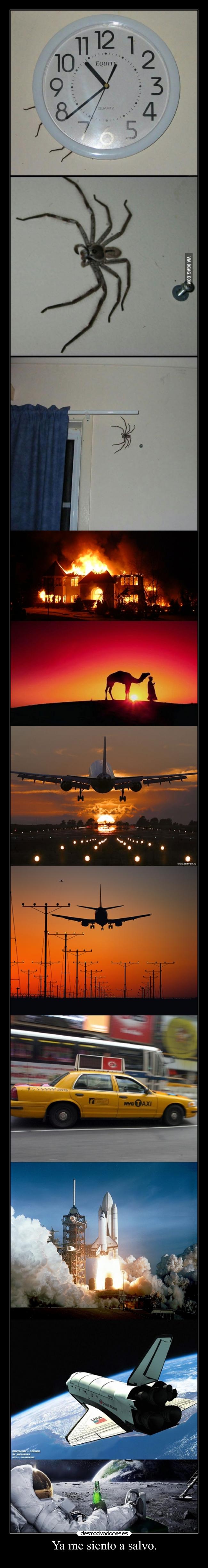 Ya me siento a salvo. -