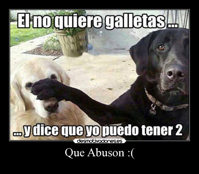 carteles risa memes facebook chiste animales alegria desmotivaciones