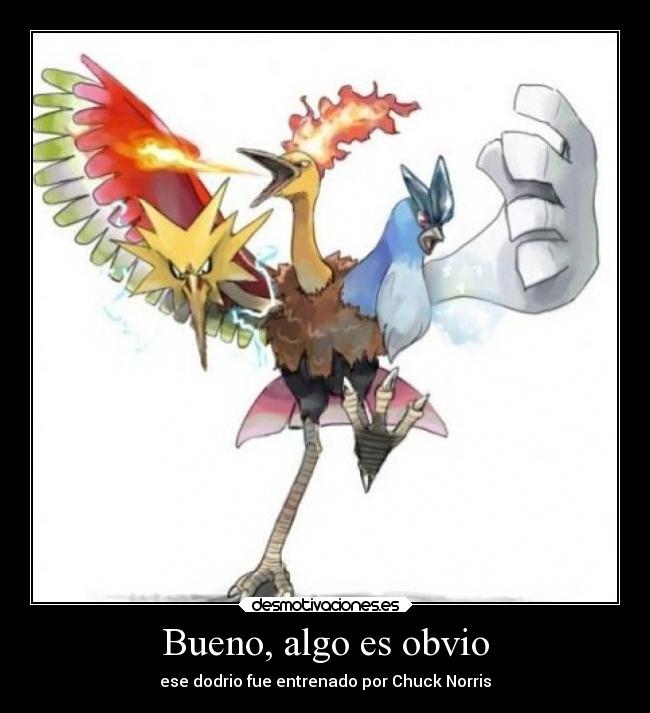 Bueno, algo es obvio - ese dodrio fue entrenado por Chuck Norris