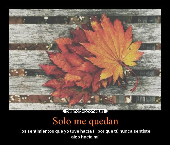 Solo me quedan - los sentimientos que yo tuve hacía ti, por que tú nunca sentiste
algo hacía mí.