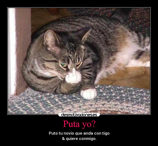 carteles sentimientos desmotivaciones