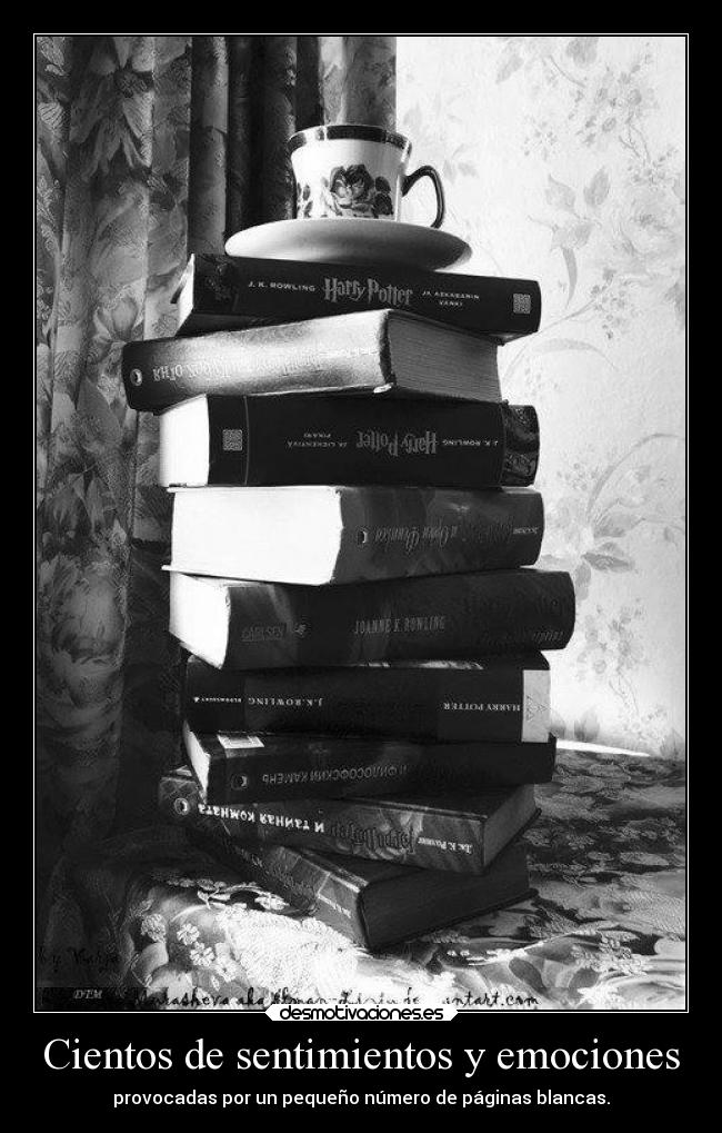 Cientos de sentimientos y emociones - provocadas por un pequeño número de páginas blancas.