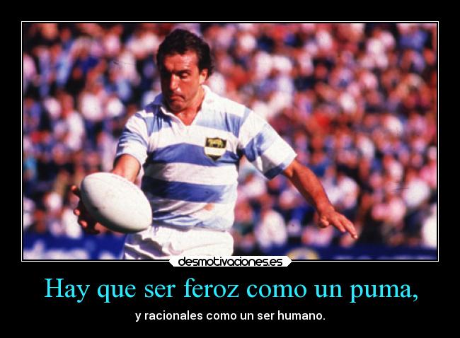 carteles sentimientos guerra obstaculos vida deportes devilbrigade argentina rugby hugo porta pumas orgullo desmotivaciones
