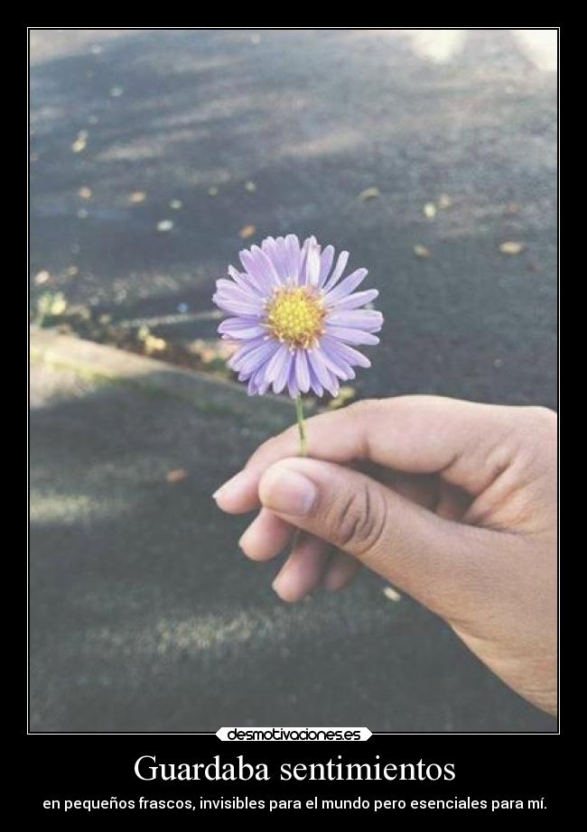 Guardaba sentimientos - en pequeños frascos, invisibles para el mundo pero esenciales para mí.