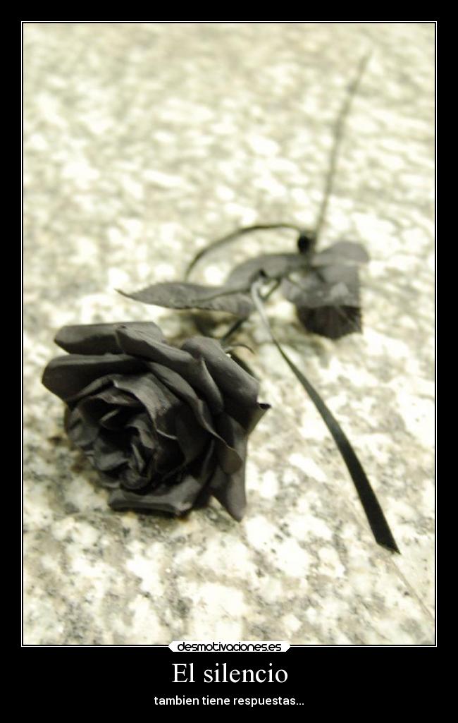 El silencio - tambien tiene respuestas...